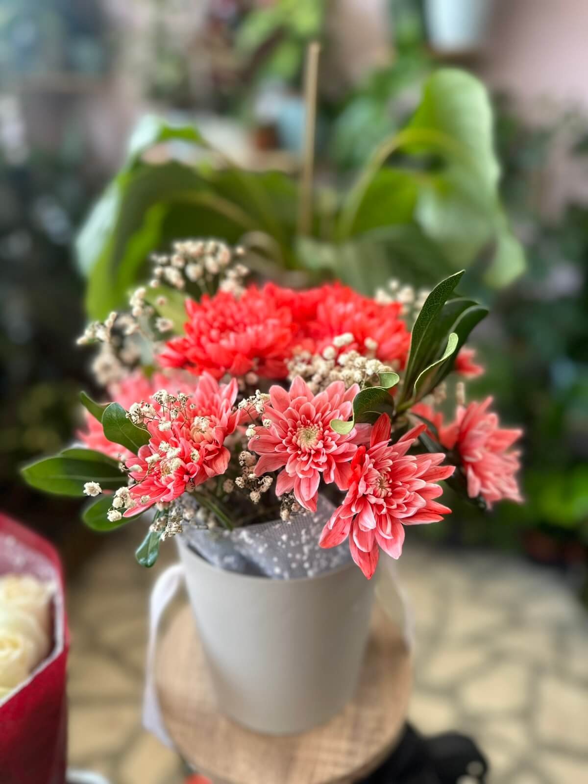 Cvijeće za Vaš dom