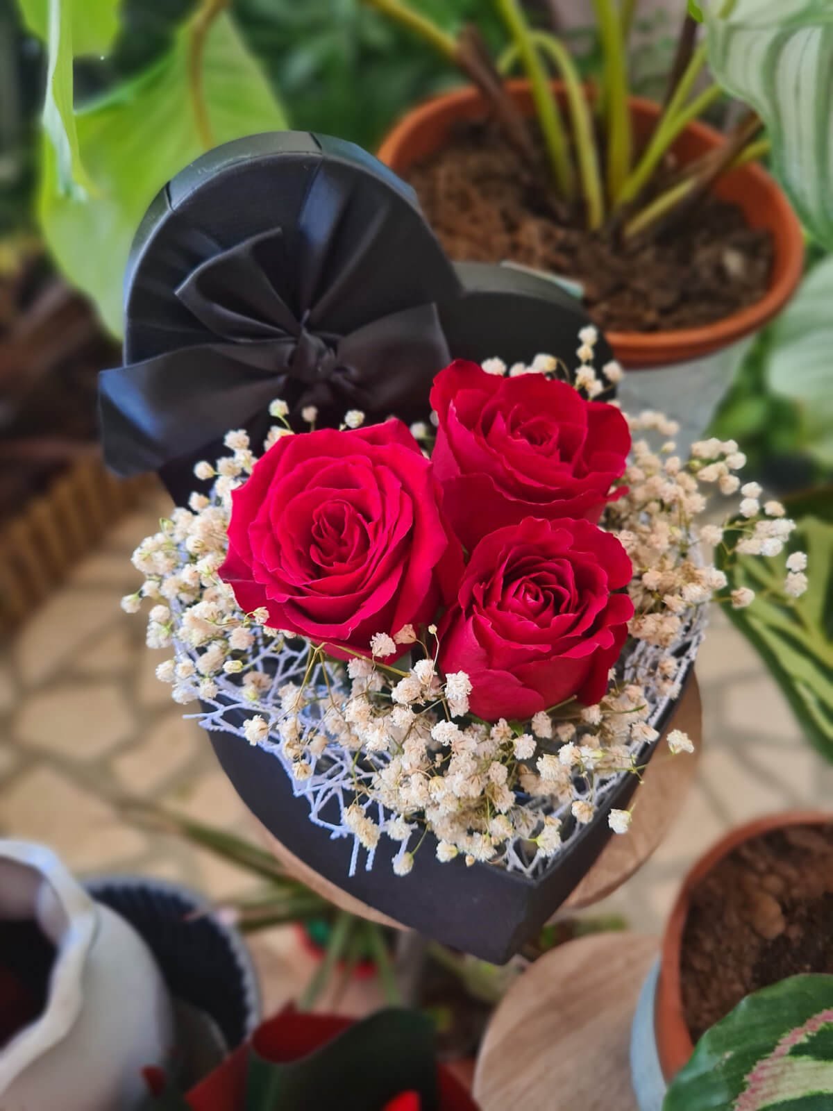 Cvjećara Ulcinj Galerija 11