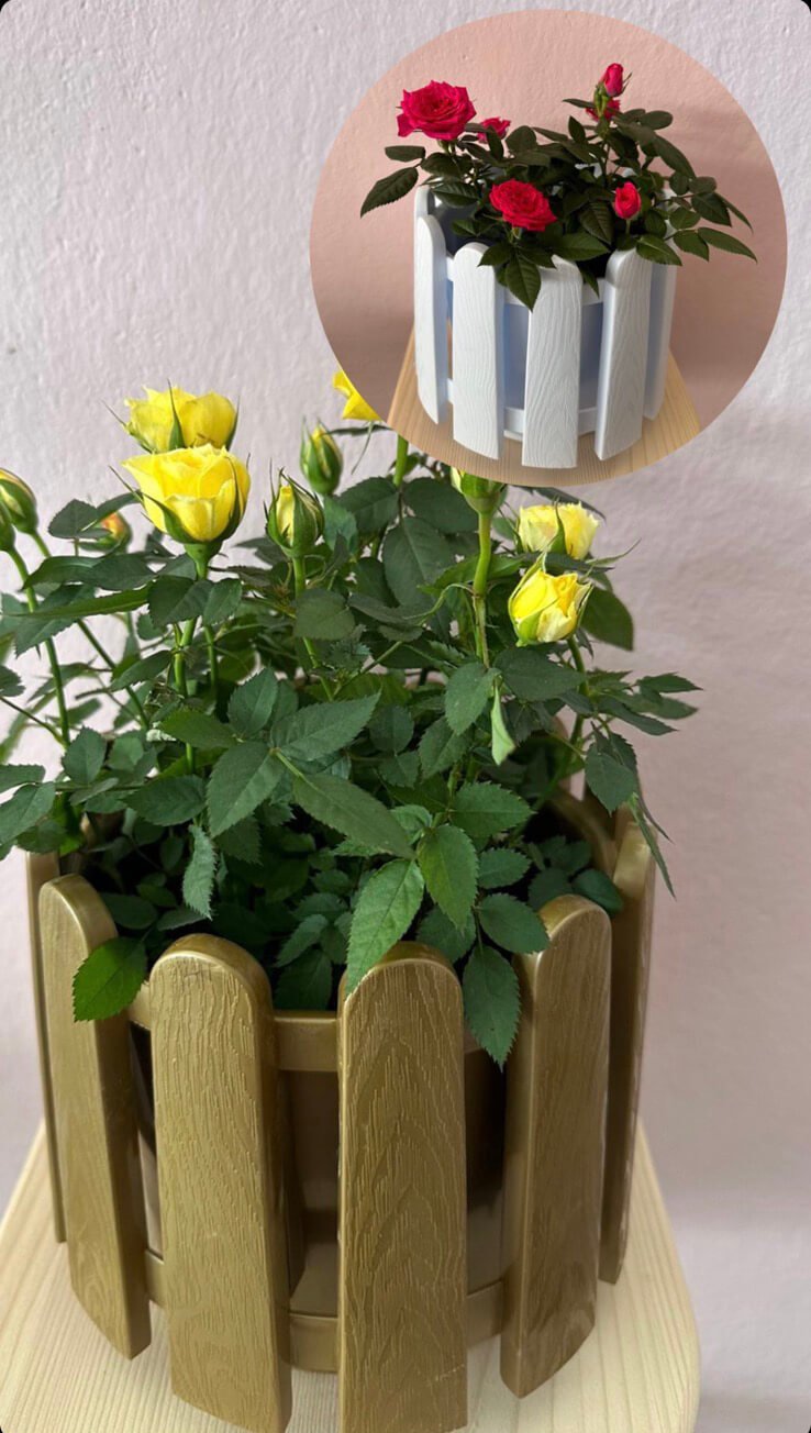 Cvjećara Ulcinj Galerija 13