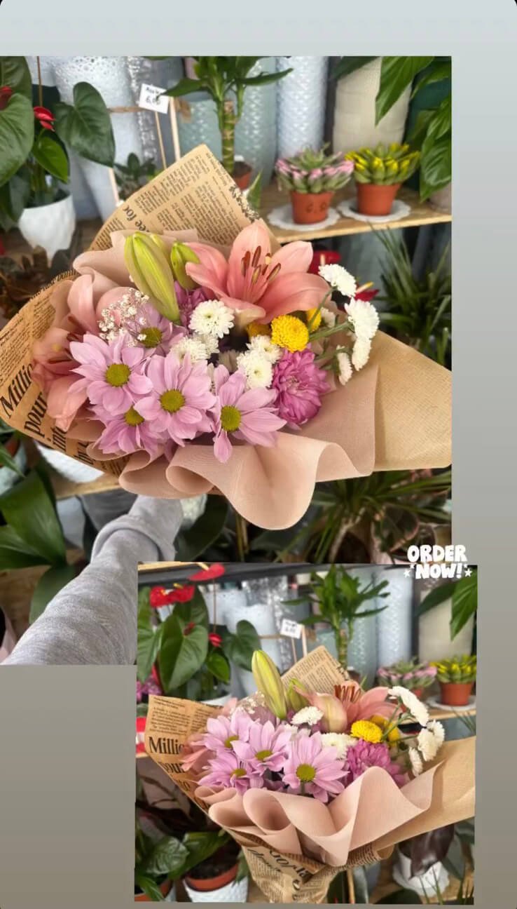 Cvjećara Ulcinj Galerija 17