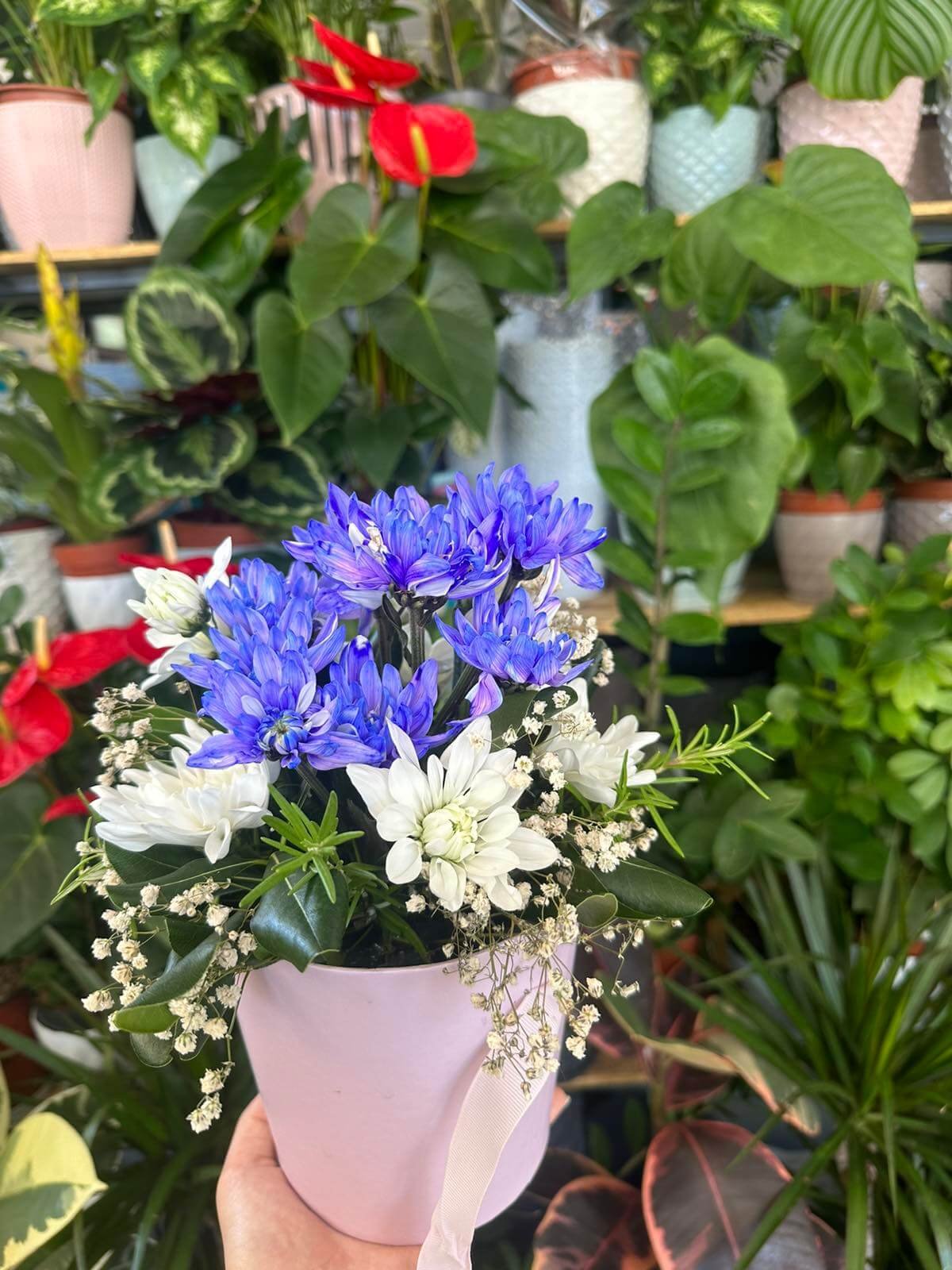 Cvjećara Ulcinj Galerija 20