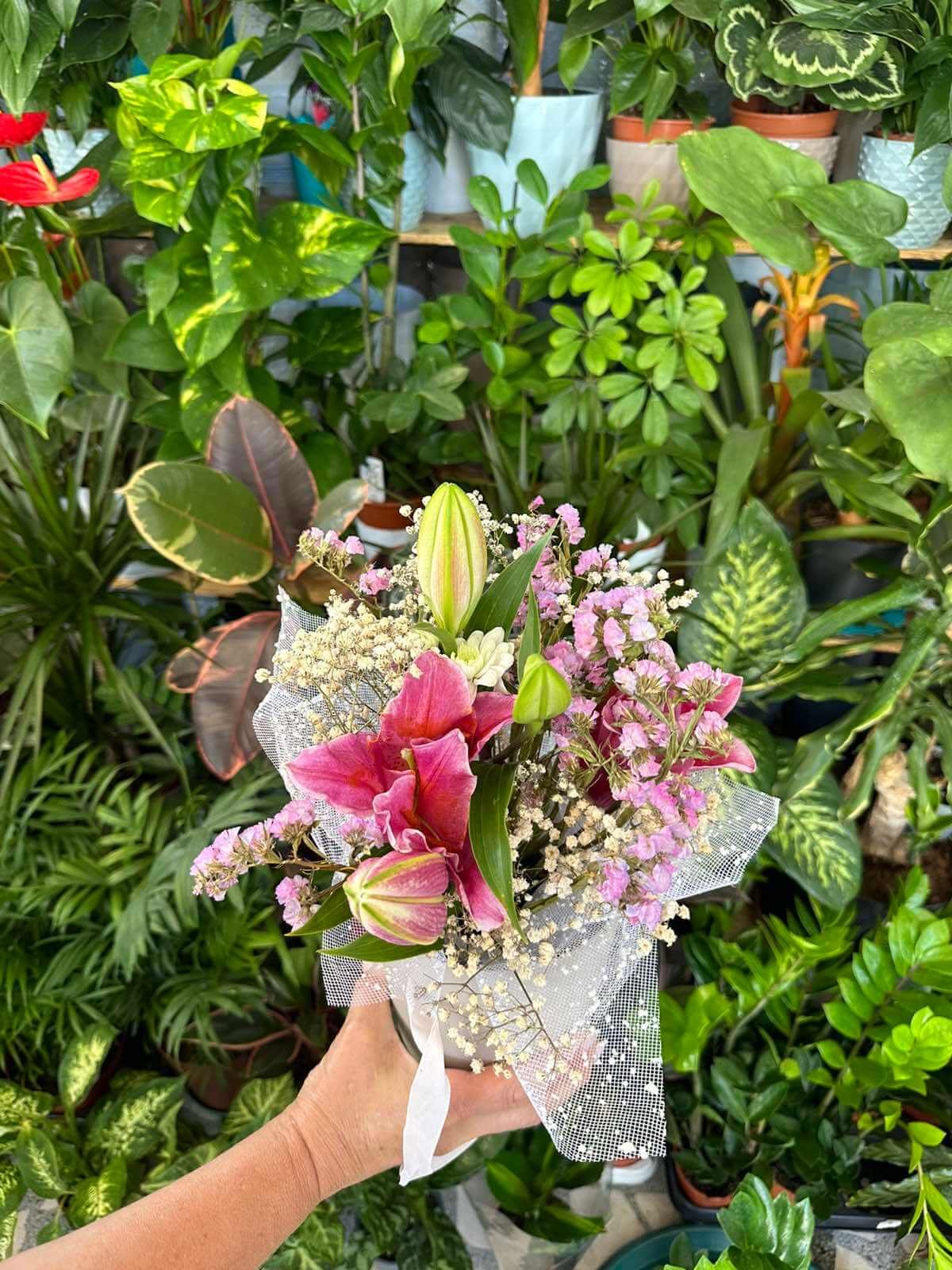 Cvjećara Ulcinj Galerija 21