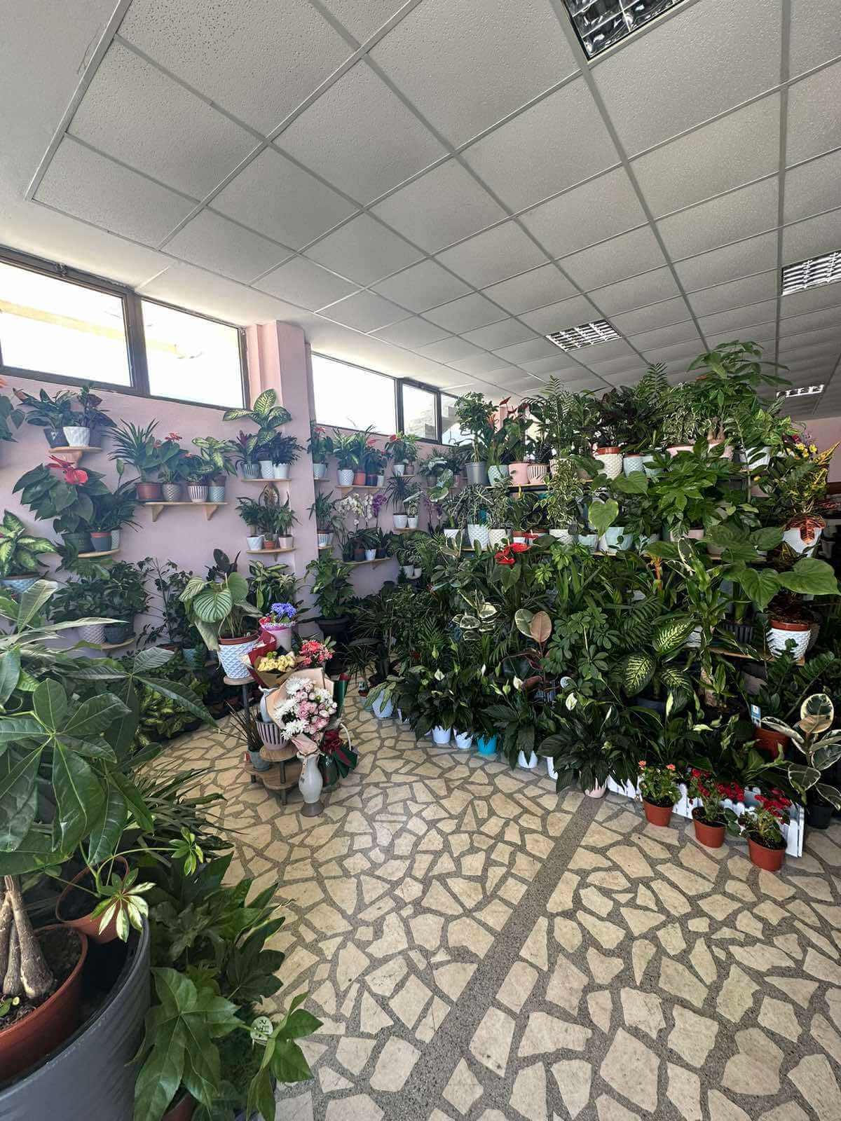 Cvjećara Ulcinj Galerija 22