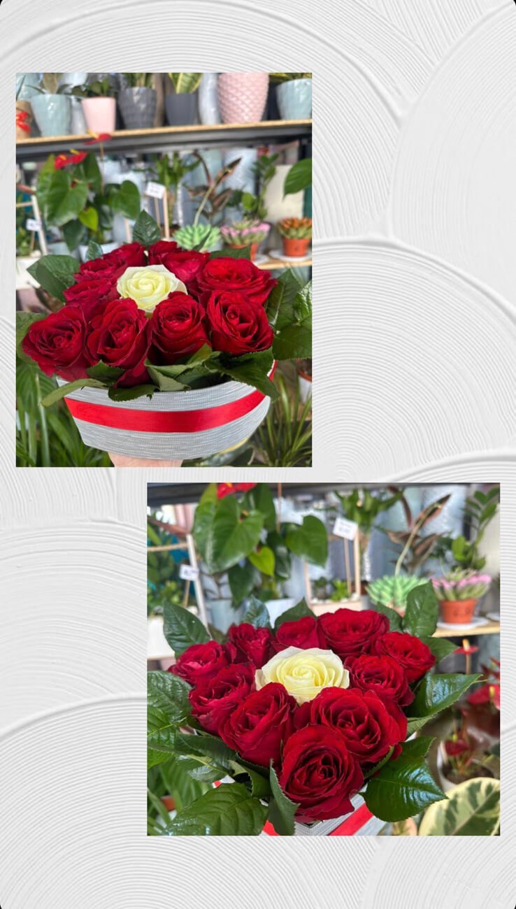 Cvjećara Ulcinj Galerija 23