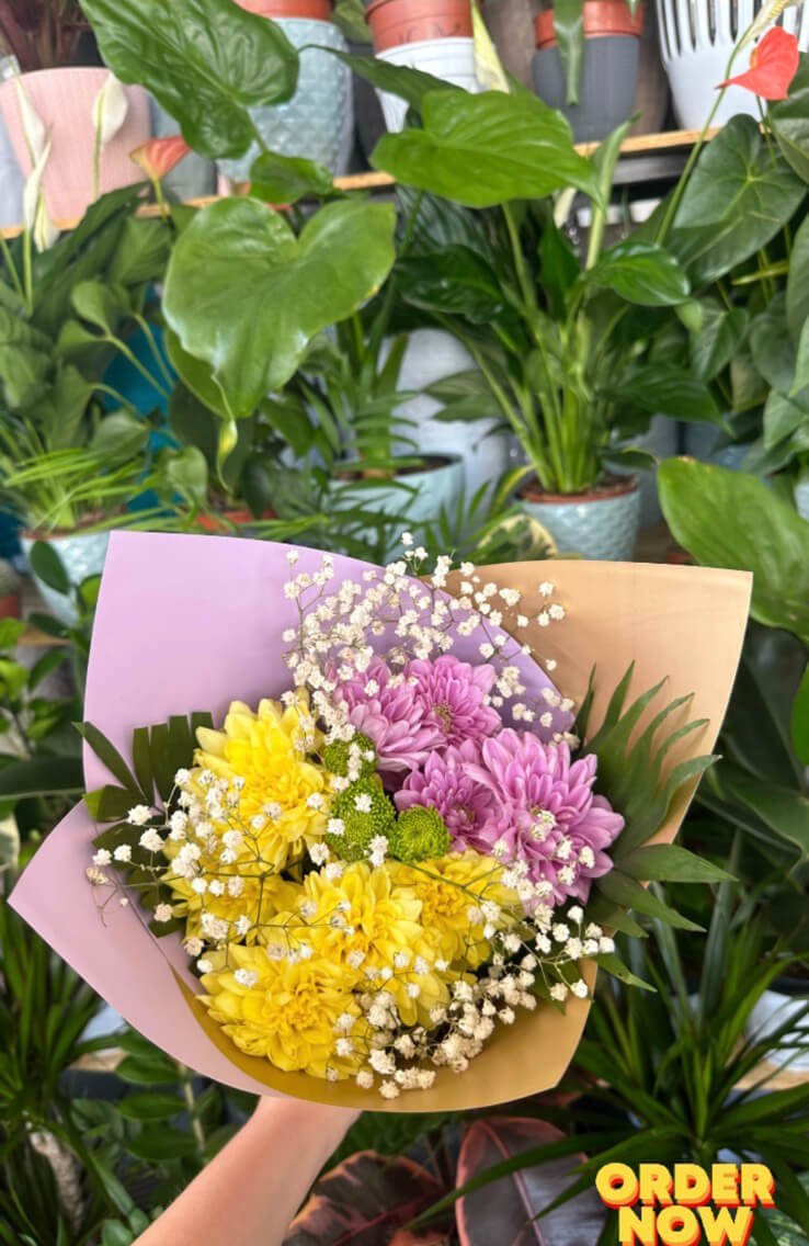 Cvjećara Ulcinj Galerija 4