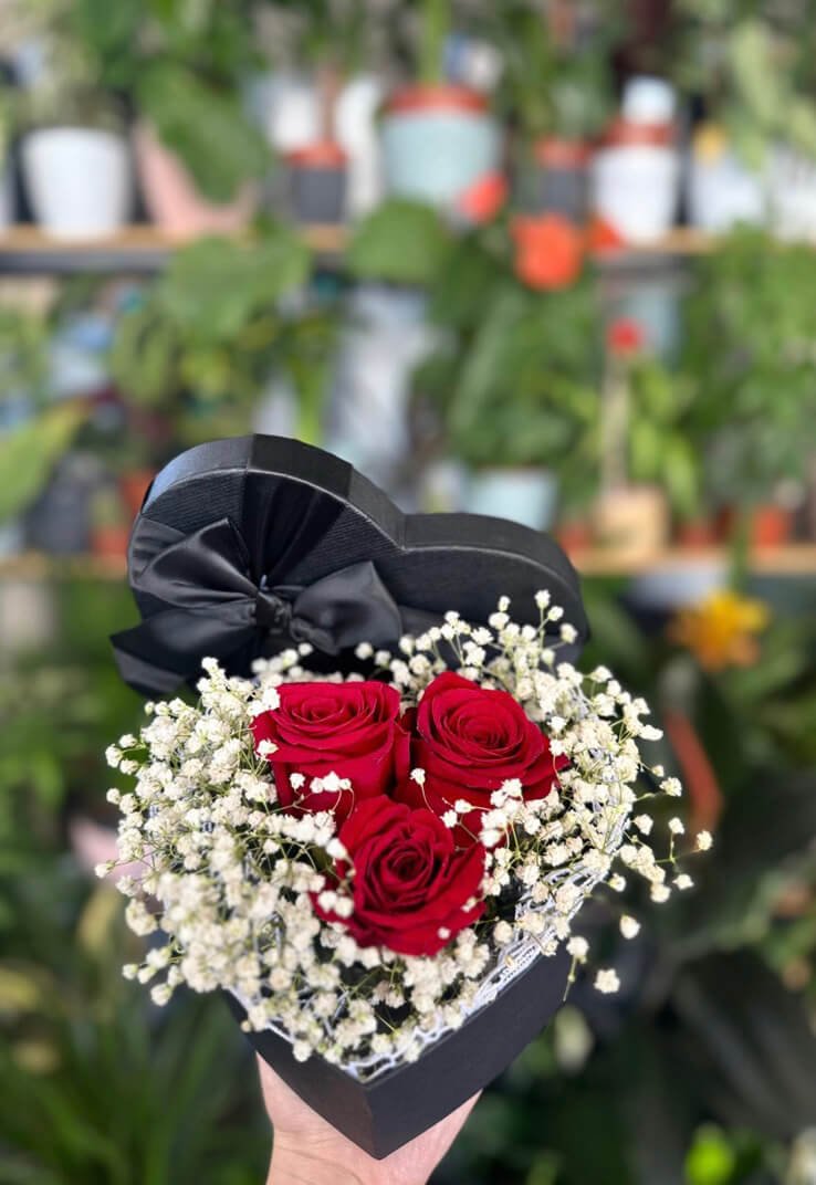 Cvjećara Ulcinj Galerija 5