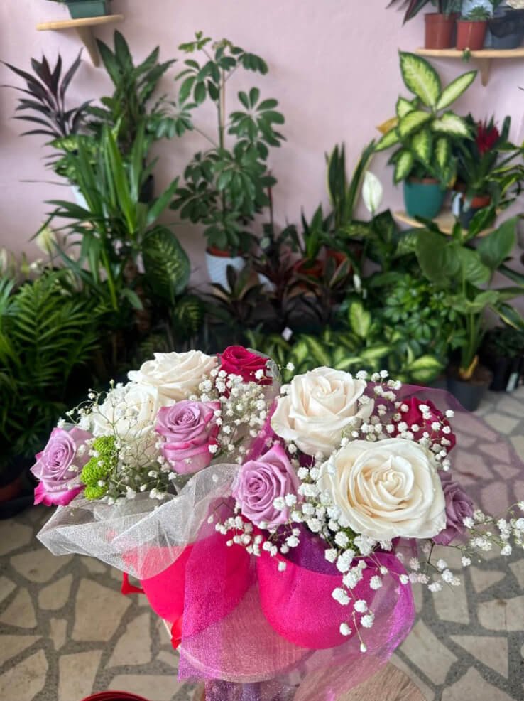 Cvjećara Ulcinj Galerija 6